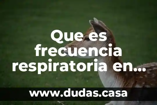 Que es frecuencia respiratoria en medicina