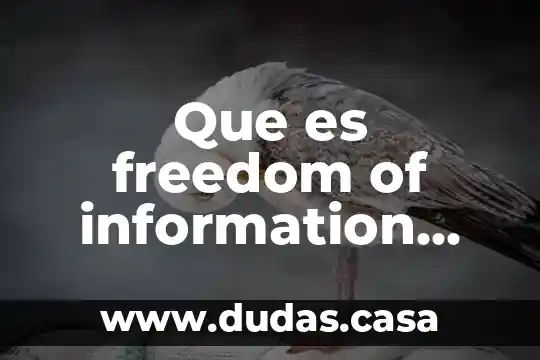 Que es freedom of information act