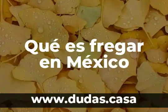Qué es fregar en México