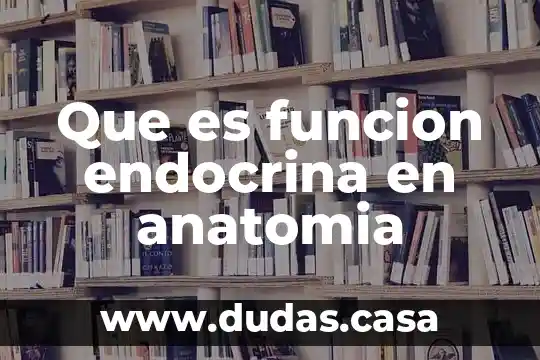 Que es funcion endocrina en anatomia