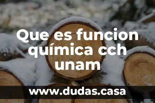 Que es funcion química cch unam