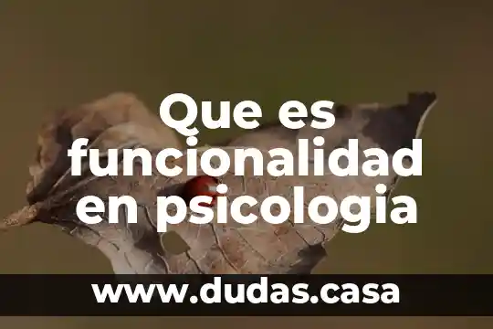 Que es funcionalidad en psicologia