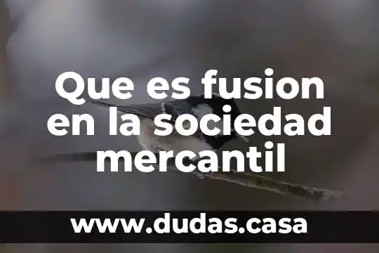 Que es fusion en la sociedad mercantil