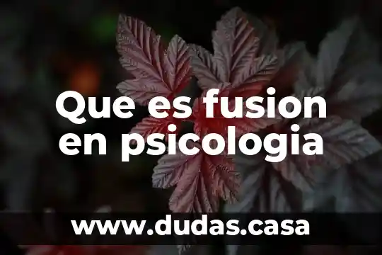 Que es fusion en psicologia