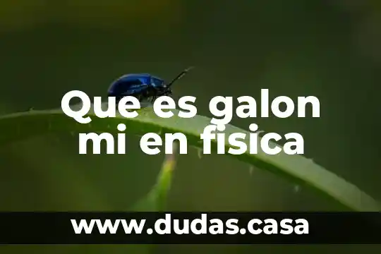 Que es galon mi en fisica