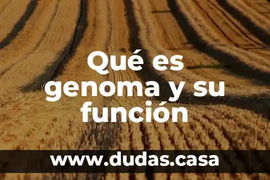 Qué es genoma y su función