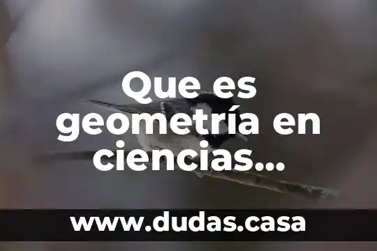 Que es geometría en ciencias sociales