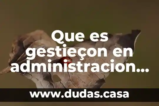 Que es gestieçon en administracion de pymes