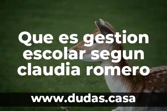 Que es gestion escolar segun claudia romero