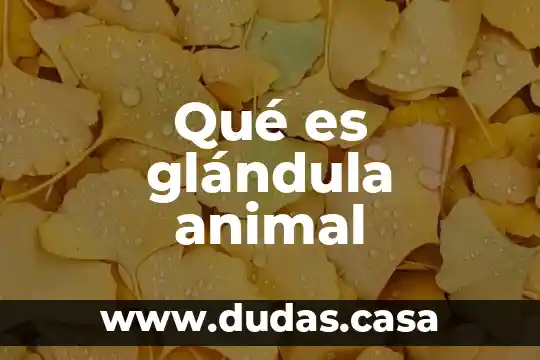 Qué es glándula animal
