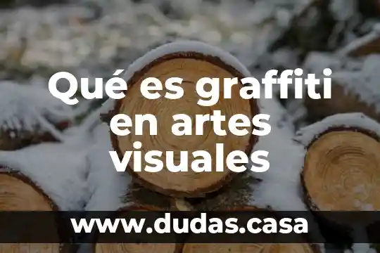Qué es graffiti en artes visuales