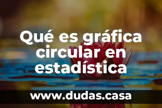 Qué es gráfica circular en estadística
