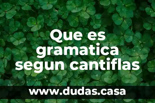 Que es gramatica segun cantiflas