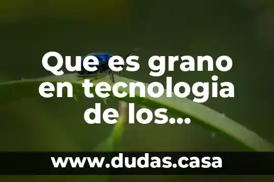 Que es grano en tecnologia de los materiales