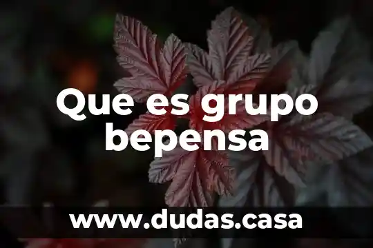 Que es grupo tress internacional 6 Que es grupo bepensa
