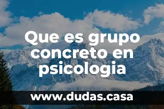 Que es grupo concreto en psicologia