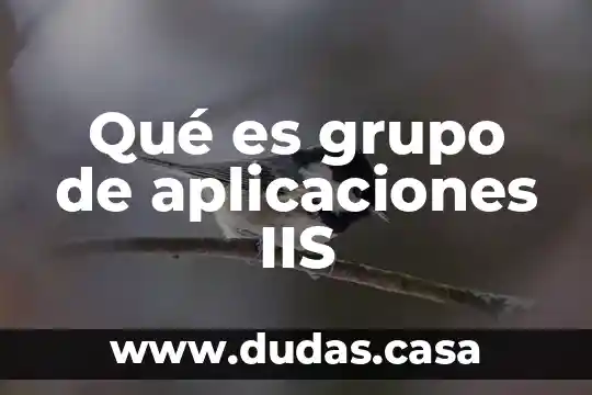 Que es un servidor web de aplicaciones 6 Qué es grupo de aplicaciones IIS