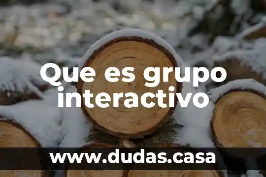 Que es grupo interactivo