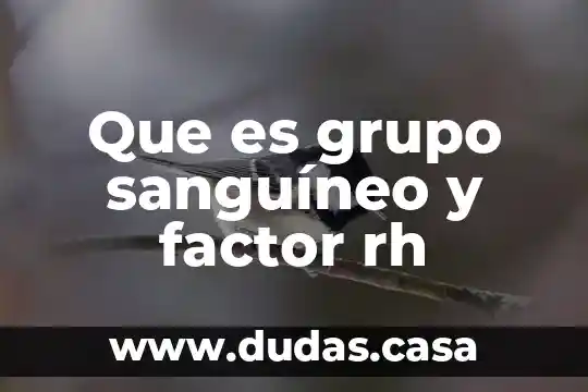 Que es grupo sanguíneo y factor rh