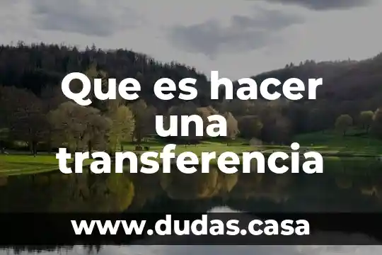 Que es hacer una transferencia