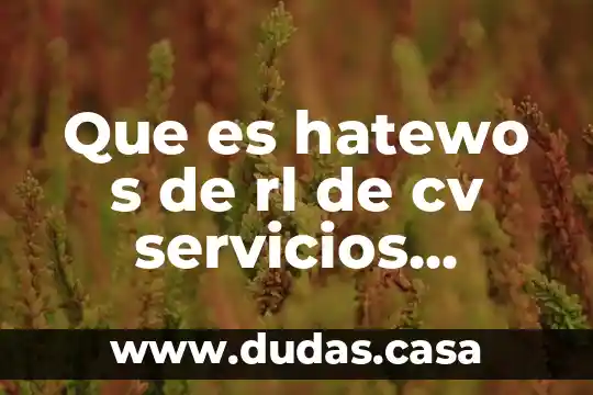 Que es hatewo s de rl de cv servicios integrales