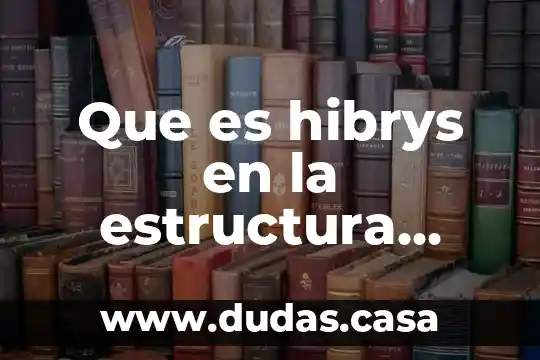 Que es hibrys en la estructura interna de la tragedia