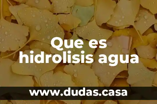 Que es hidrolisis agua