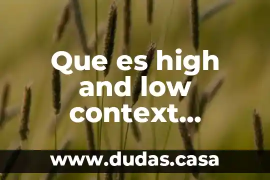 Que es high and low context cultures