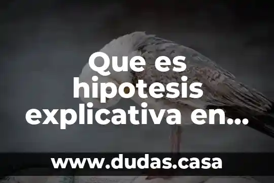 Que es hipotesis explicativa en psicologia