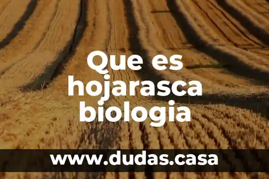 Que es hojarasca biologia