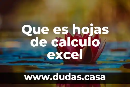 Que es hojas de calculo excel