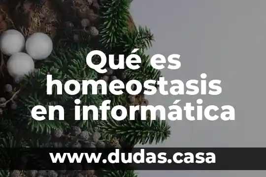 Qué es homeostasis en informática