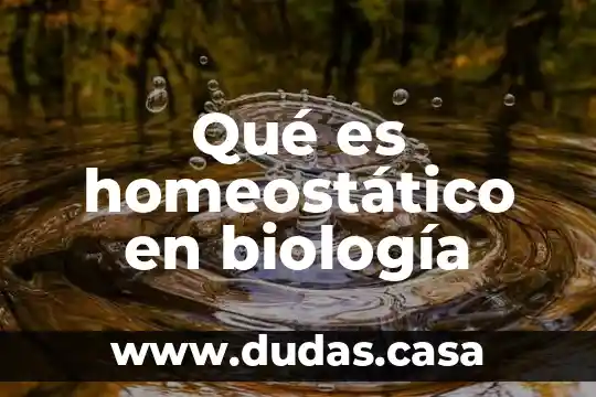 Qué es homeostático en biología