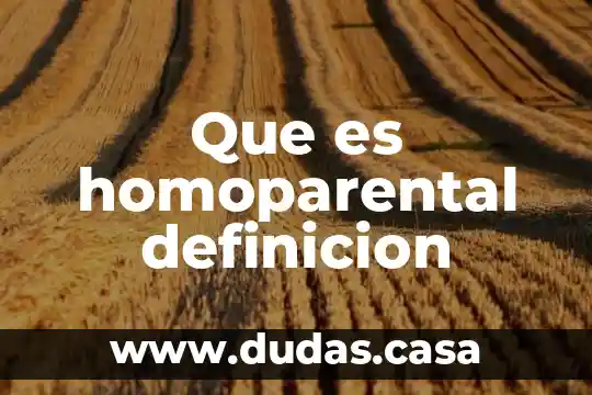 Que es homoparental definicion