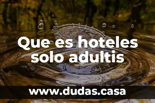 Que es hoteles solo adultis