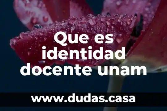 Que es identidad docente unam