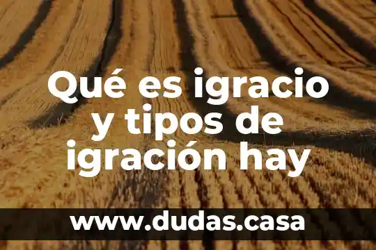 Qué es igracio y tipos de igración hay