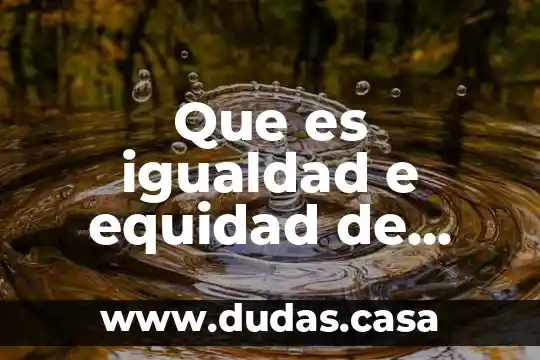 Que es igualdad e equidad de genero