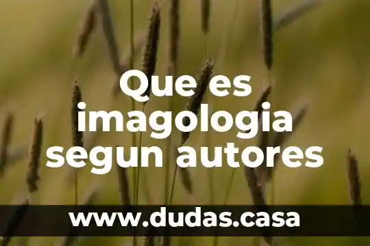 Que es imagologia segun autores