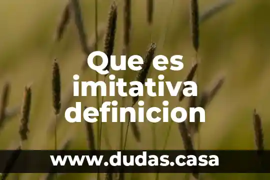 Que es imitativa definicion
