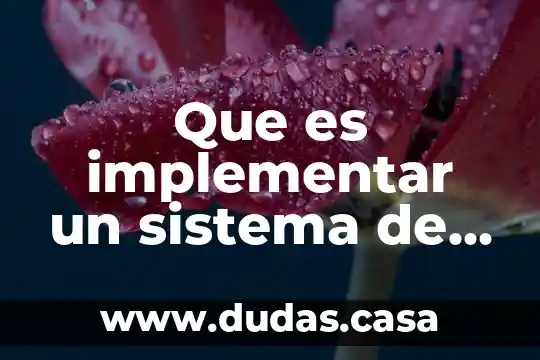 Que es implementar un sistema de gestion