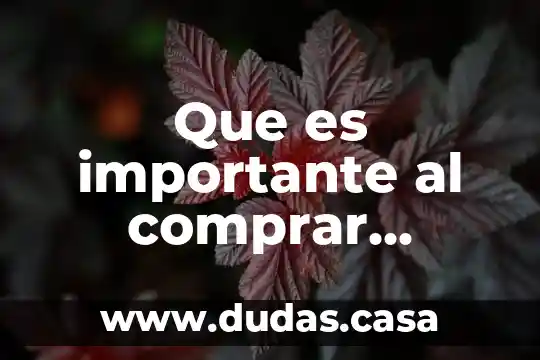 Que es importante al comprar smartbox