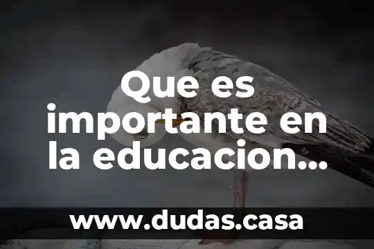 Que es importante en la educacion de los adolecentes