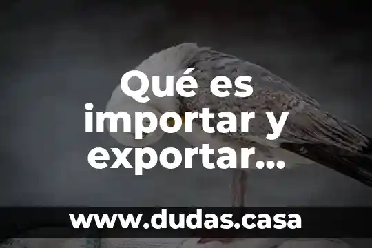 Qué es importar y exportar contactos de celular