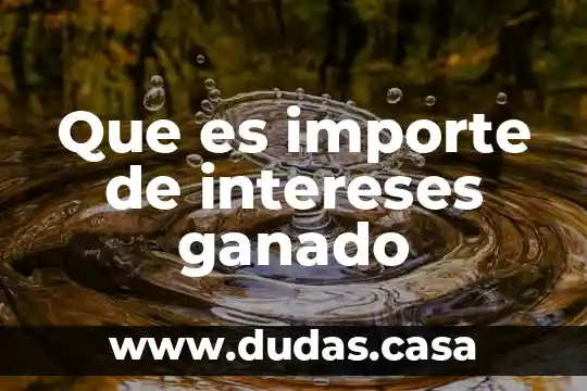 Que es importe de intereses ganado