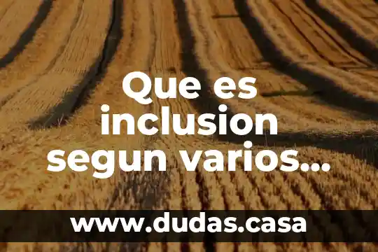 Que es inclusion segun varios autores