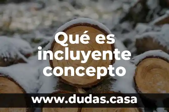 Qué es incluyente concepto