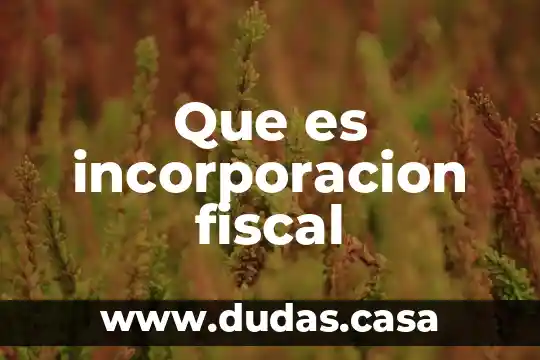 Que es incorporacion fiscal