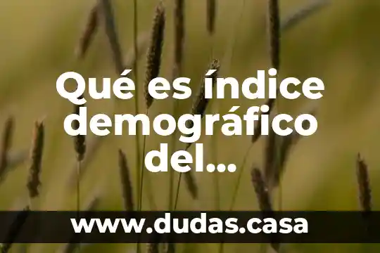 Qué es índice demográfico del envejecimiento según la OMS