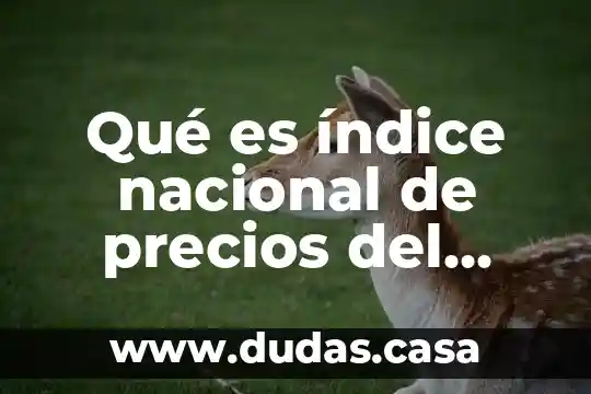 Qué es índice nacional de precios del consumidor